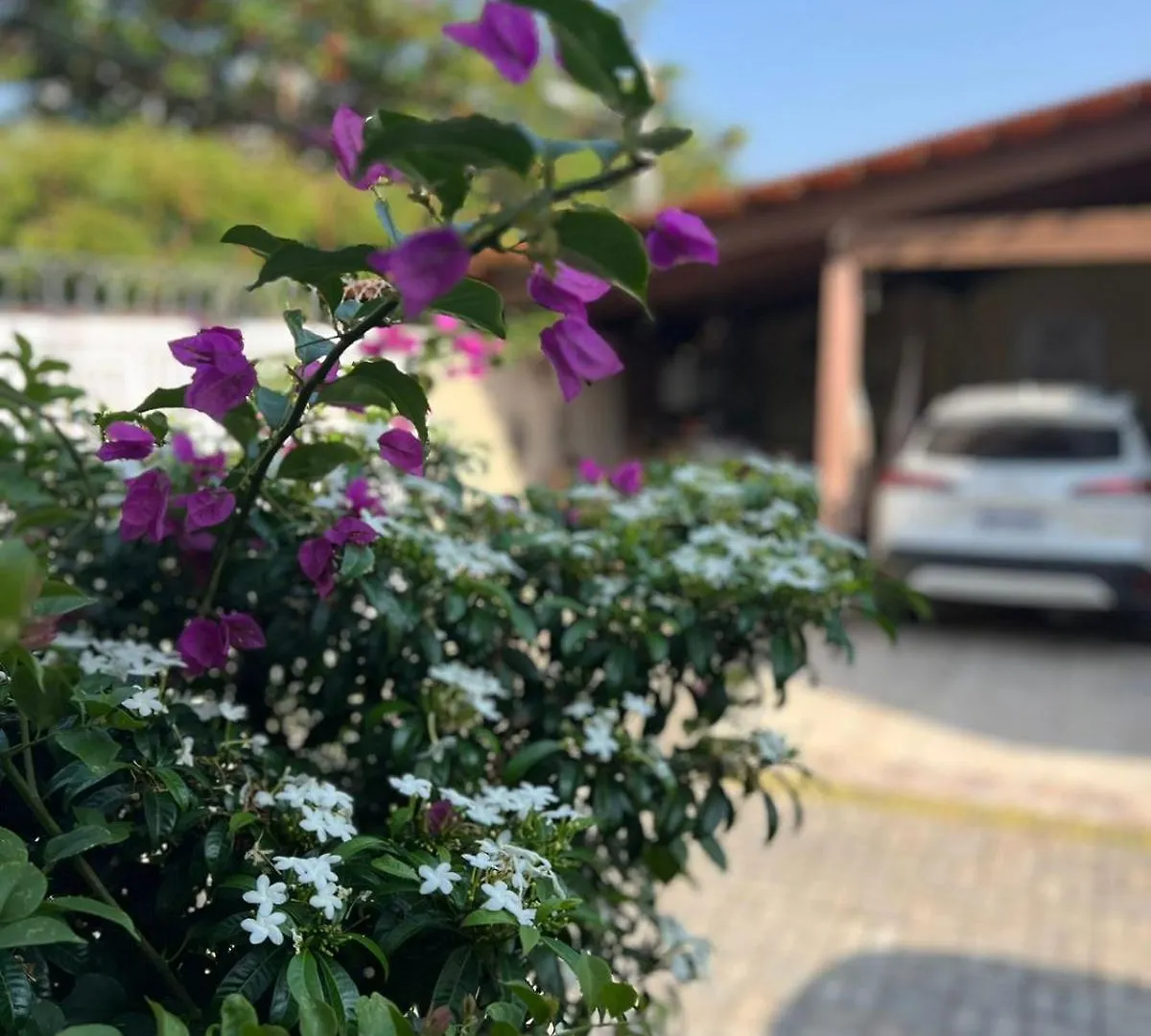 ** Inn Pousada Flor Dalia Natal Brazil